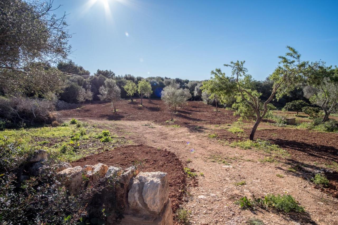 Séjour à la campagne Son Sec By Dracmallorca Santanyí